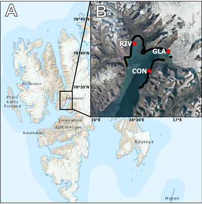 Acoustic mapping reveals macroalgal settlement following a retreating glacier front in the High Arctic